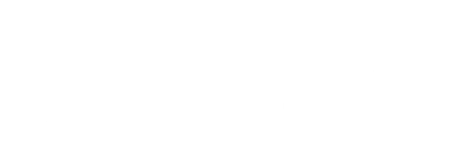 logo 11